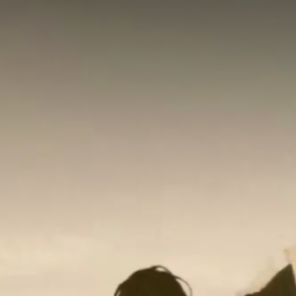 Meet your Posher, Omari - Picture 1 of 1